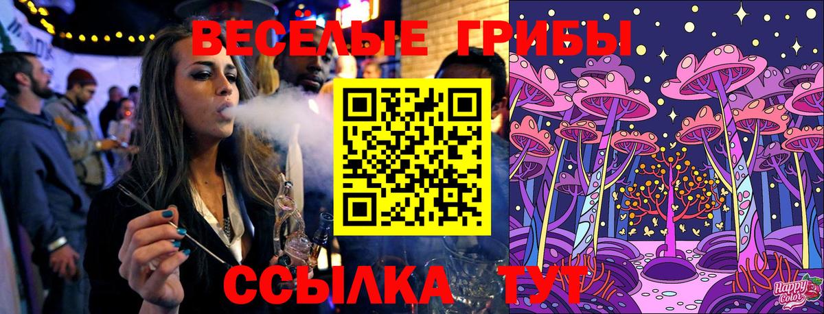 Галлюциногенные грибы Magic Shrooms Брянск